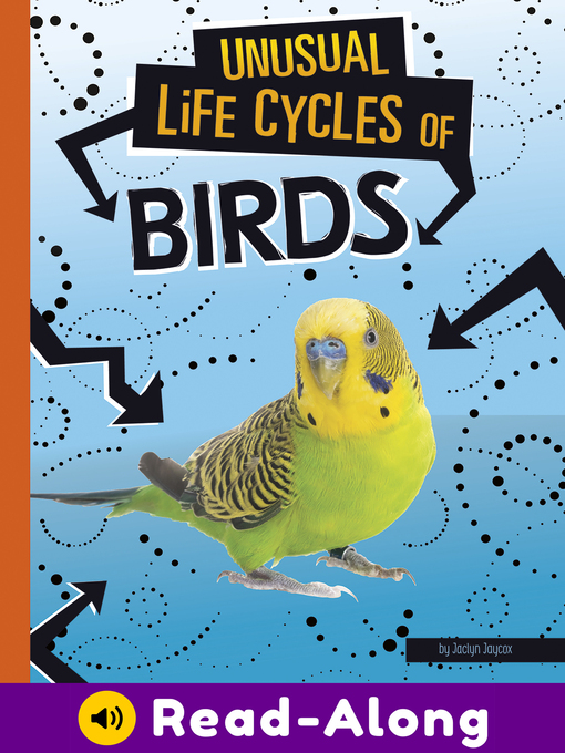 Cover image for Unusual Life Cycles of Birds